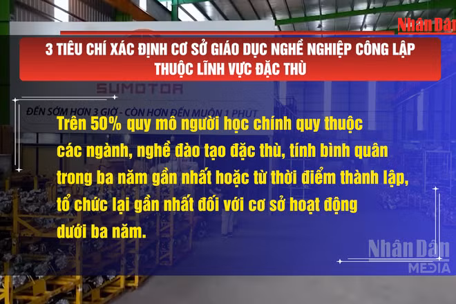 [Video] 3 tiêu chí xác định cơ sở giáo dục nghề nghiệp công lập thuộc lĩnh vực đặc thù