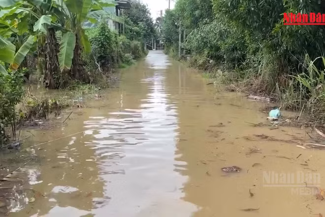 [Video] Khu dân cư cạnh cao tốc Biên Hòa-Vũng Tàu lần thứ 3 ngập trong 3 tuần