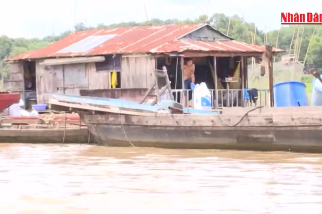 [Video] Cảnh báo lũ trên sông Cửu Long và sông Đồng Nai