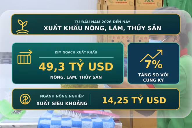 [Video] Xuất khẩu nông, lâm, thủy sản đạt 49,3 tỷ USD
