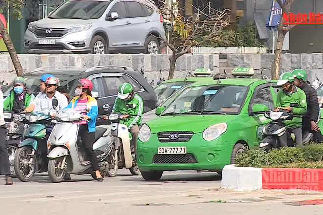 [Video] Ủy ban Cạnh tranh rà soát chính sách giá, chiết khấu của Grab