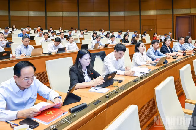 Các đại biểu Quốc hội dự phiên họp ở hội trường ngày 23/8. (Ảnh: DUY LINH)