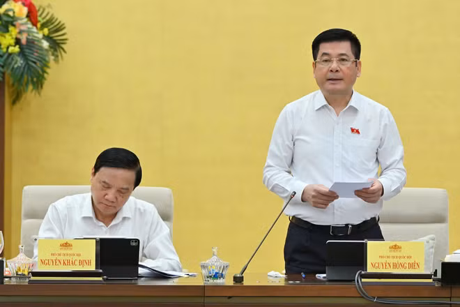 Phó Chủ tịch Quốc hội Nguyễn Hồng Diên phát biểu tại phiên họp. (Ảnh: THỦY NGUYÊN)