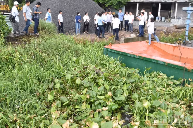 Ngành chức năng kiểm tra chất lượng nước tại khu vực có rau màu, cây ăn trái thiệt hại.