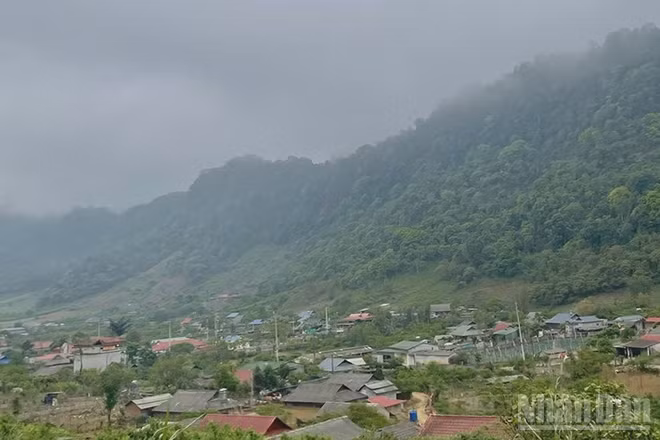 Dự báo khu vực vùng núi và trung du Bắc Bộ có mưa vừa, mưa to và dông. (Ảnh minh họa: Đ.T)