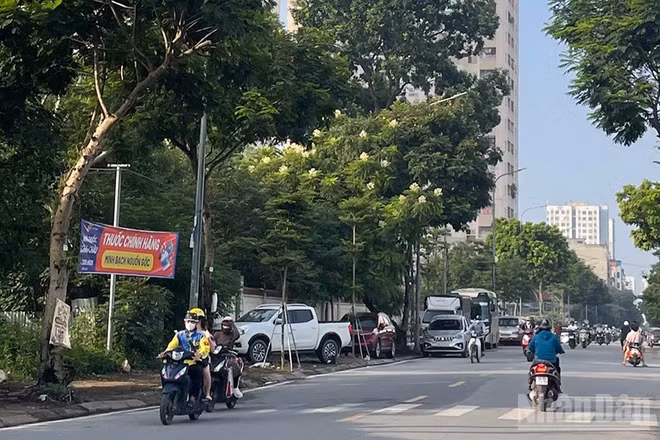 Dự báo khu vực Hà Nội ngày nắng nóng. (Ảnh minh họa: Đ.T)