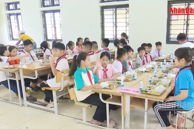 [Video] Thủ tướng chỉ đạo công khai nguồn thực phẩm và hình ảnh khay ăn của học sinh