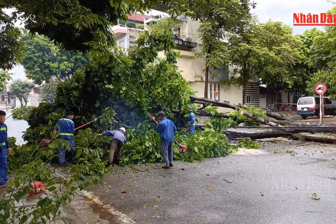 [Video] Chủ động phòng ngừa mất an toàn điện trong mùa mưa bão