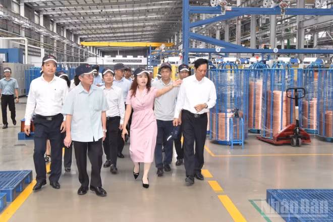 Lãnh đạo tỉnh Đồng Tháp thăm và động viên sự phát triển của doanh nghiệp. (Ảnh: NGUYỄN SỰ)