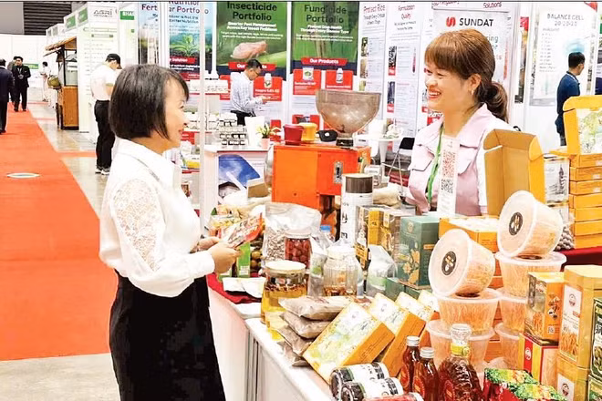 Người tiêu dùng lựa chọn sản phẩm nông sản chế biến sâu tại Hội chợ Xúc tiến thương mại tỉnh Lâm Đồng.