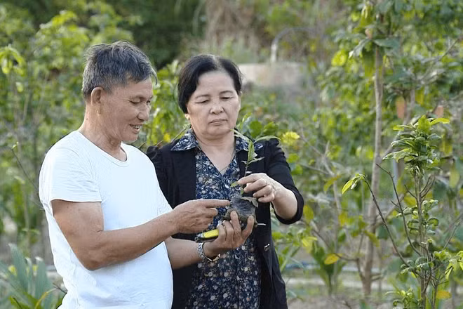 Nhiều người cao tuổi sống vui, sống khỏe, tham gia lao động, sản xuất, cống hiến cho gia đình, xã hội.
