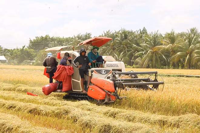 Sử dụng máy gặt đập liên hợp thu hoạch lúa, giúp các thành viên Hợp tác xã nông nghiệp Phát Tài, xã Châu Thành giảm chi phí sản xuất.