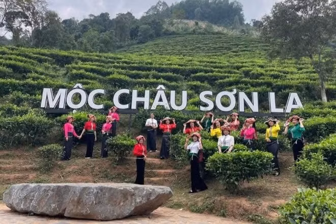 Trong dịp nghỉ lễ 30/4-1/5 năm 2026, các hoạt động du lịch tại khu du lịch Quốc gia Mộc Châu được tổ chức sôi động, đa dạng.
