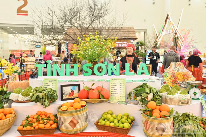Để đặc sản vùng đồng bào dân tộc thiểu số và miền núi trở thành lựa chọn thường xuyên của người tiêu dùng, cần chuyển từ xúc tiến đơn lẻ sang phát triển chuỗi giá trị. (Ảnh: AN NGUYÊN)