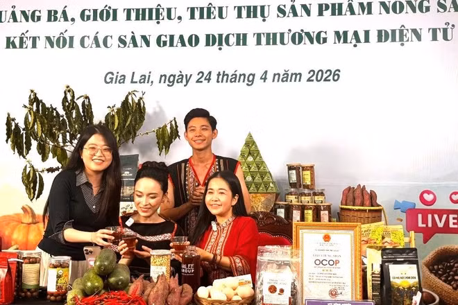 Chương trình Livestream quảng bá, giới thiệu, tiêu thụ sản phẩm nông sản tại Ủy ban nhân dân phường Hội Phú, Gia Lai.