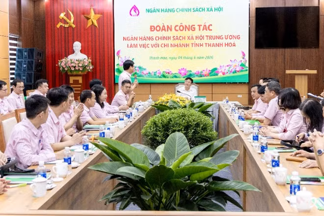 Quang cảnh buổi làm việc.