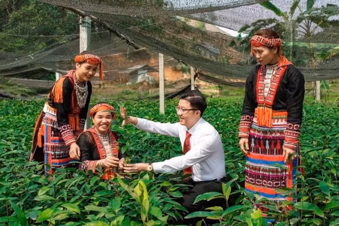 Agribank - trụ cột tài chính của nông nghiệp Việt Nam.