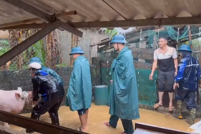 Lực lượng vũ trang tỉnh giúp người dân di dời tài sản đến nơi an toàn.