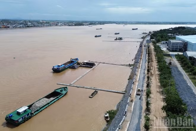 Dự án khắc phục khẩn cấp sạt lở sông Tiền đang được tỉnh Đồng Tháp đẩy nhanh tiến độ.