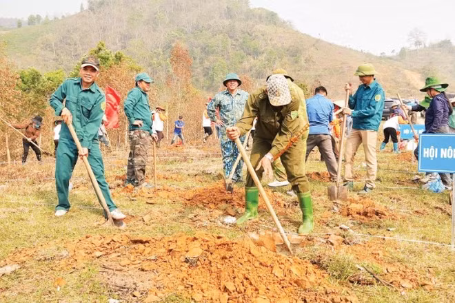 Cán bộ, chiến sĩ và nhân dân bản Pá Liếng, xã Mường Ảng, tỉnh Điện Biên ra quân đào hố trồng cây cà-phê, mắc-ca theo chủ trương chuyển đổi cơ cấu cây trồng đã được Ban Chấp hành Đảng bộ tỉnh Điện Biên khóa XV xác định.