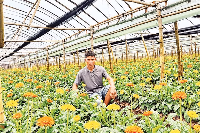 Tiên phong ứng dụng công nghệ trồng hoa 