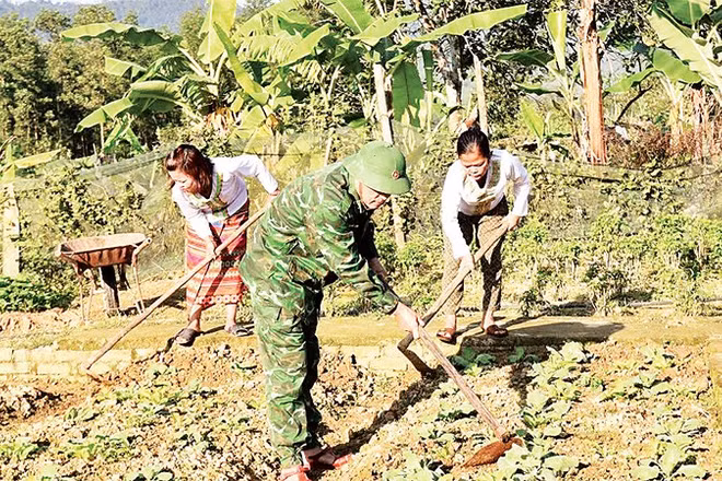 Hỗ trợ người dân biên giới vươn lên 