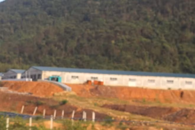 Trang trại nuôi lợn của Công ty Bình Chi Nam Hưng hoạt động khi chưa được cấp giấy phép môi trường.