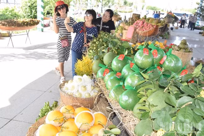 Du khách chụp ảnh lưu niệm tại khu trưng bày ở Lễ hội trái cây tỉnh Đồng Tháp lần thứ I, năm 2026.
