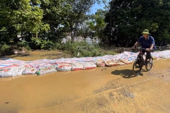 Nhiều đoạn đê thuộc địa bàn xã Đa Phúc, thành phố Hà Nội bị tràn nước trong trận lũ tháng 10/2025. 