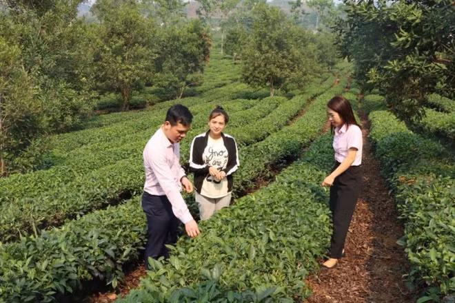 Cán bộ tín dụng chính sách ở Sơn La thường xuyên bám địa bàn hướng dẫn bà con sử dụng vốn hiệu quả. (Ảnh nhandan.vn)