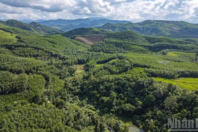 (Ảnh minh họa)