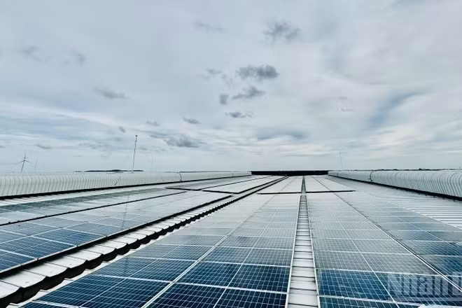 Phát triển và sử dụng hiệu quả các nguồn năng lượng góp phần thực hành tiết kiệm, chống lãng phí, hướng tới phát triển bền vững.