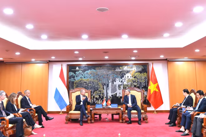 Toàn cảnh buổi làm việc. (Ảnh: Ban tổ chức)