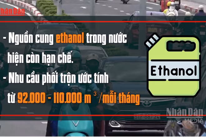 [Video] Đề xuất triển khai xăng E10 trên toàn quốc từ ngày 30/4