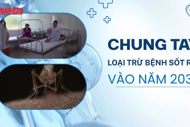 [Video] Nhân Ngày Thế giới phòng, chống sốt rét (25/4) - Chung tay loại trừ bệnh sốt rét vào năm 2030