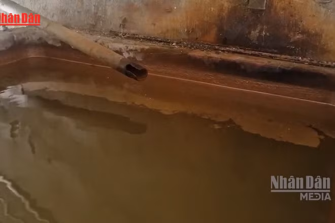 [Video] Nhiều hộ dân tại Đạ Tẻh thiếu nước sạch do nguồn nước nhiễm phèn kéo dài