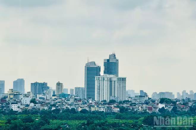 Thị trường đang ghi nhận sự dịch chuyển của hành trình tiếp cận khách hàng dưới tác động của AI. (Ảnh: HNV)