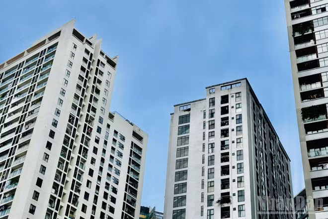 Cần lộ trình phù hợp để tránh gây xáo trộn thị trường. (Ảnh: HNV)
