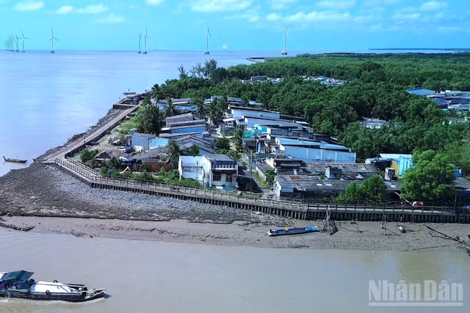 Khu vực ven biển xã Tân Thuận, tỉnh Cà Mau - nơi đề xuất bổ sung tổ hợp lọc hóa dầu quy mô lớn. (Ảnh: HỮU TÙNG)