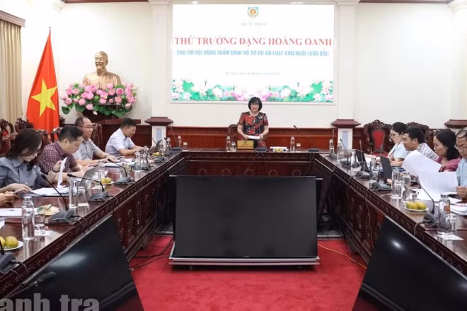 Quang cảnh phiên thẩm định.