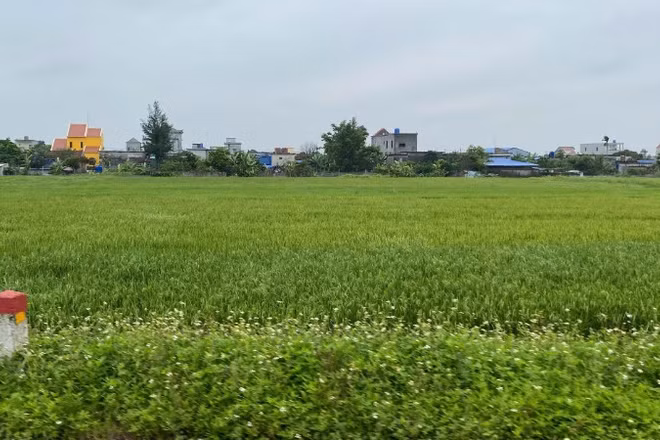 Có chính sách tạm cư phù hợp bảo đảm quyền lợi người dân bị thu hồi đất.