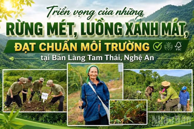 (Ảnh có yếu tố AI)