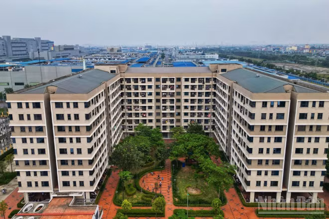 Cần chú trọng khâu khảo sát nhu cầu thị trường nhà ở xã hội tại địa bàn triển khai dự án. (Ảnh: PV)