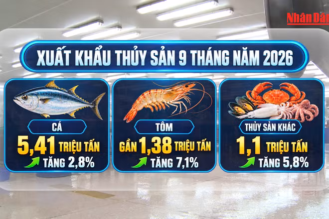 [Video] Ngành thủy sản hướng tới mục tiêu xuất khẩu 12 tỷ USD