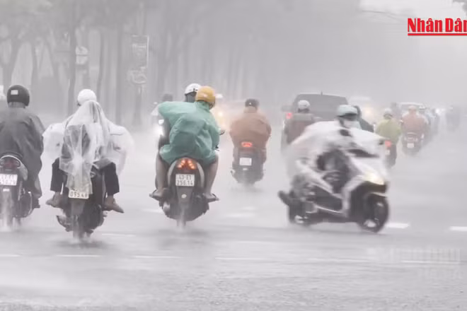 [Video] Cảnh báo lũ quét, sạt lở đất tại 4 tỉnh, thành phố miền trung