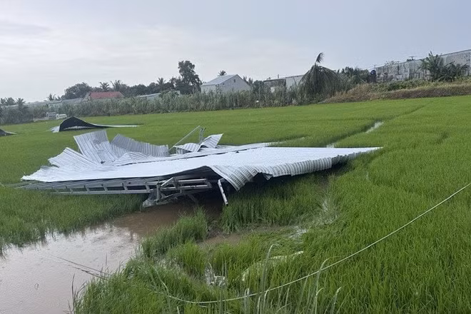 Dông lốc thổi bay mái nhà dân xuống ruộng lúa ở phường Trung Nhứt.