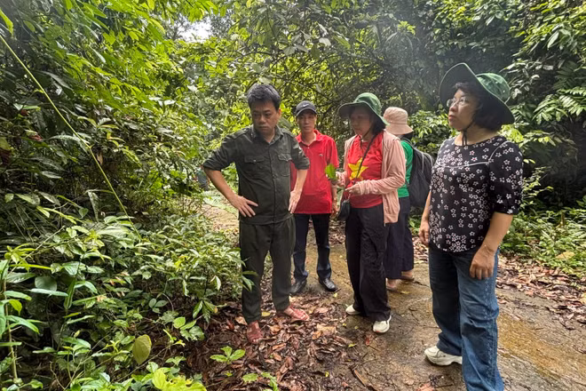 Lãnh đạo Viện Dược liệu, Trung tâm Tài nguyên Dược liệu, Trung tâm Dược liệu Bắc Trung Bộ khảo sát tiềm năng dược liệu tại Vườn quốc gia Vũ Quang.