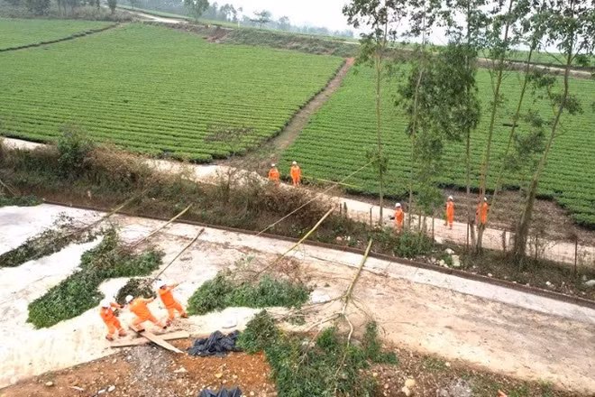 Nhân viên điện lực Nghĩa Lộ (Lào Cai) phát quang cây cối bảo đảm an toàn lưới điện trước mùa mưa bão.