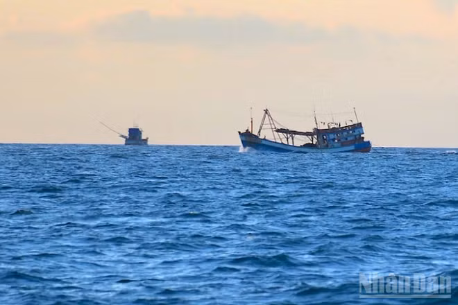 Tàu cá hoạt động trên vùng biển Cà Mau một khi không tuân thủ chống khai thác IUU sẽ bị xử lý nghiêm minh.