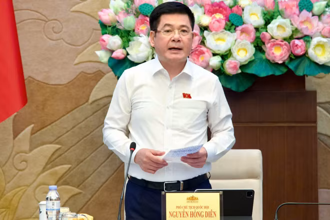 Phó Chủ tịch Quốc hội Nguyễn Hồng Diên phát biểu tại cuộc làm việc. (Ảnh: Media Quốc hội)